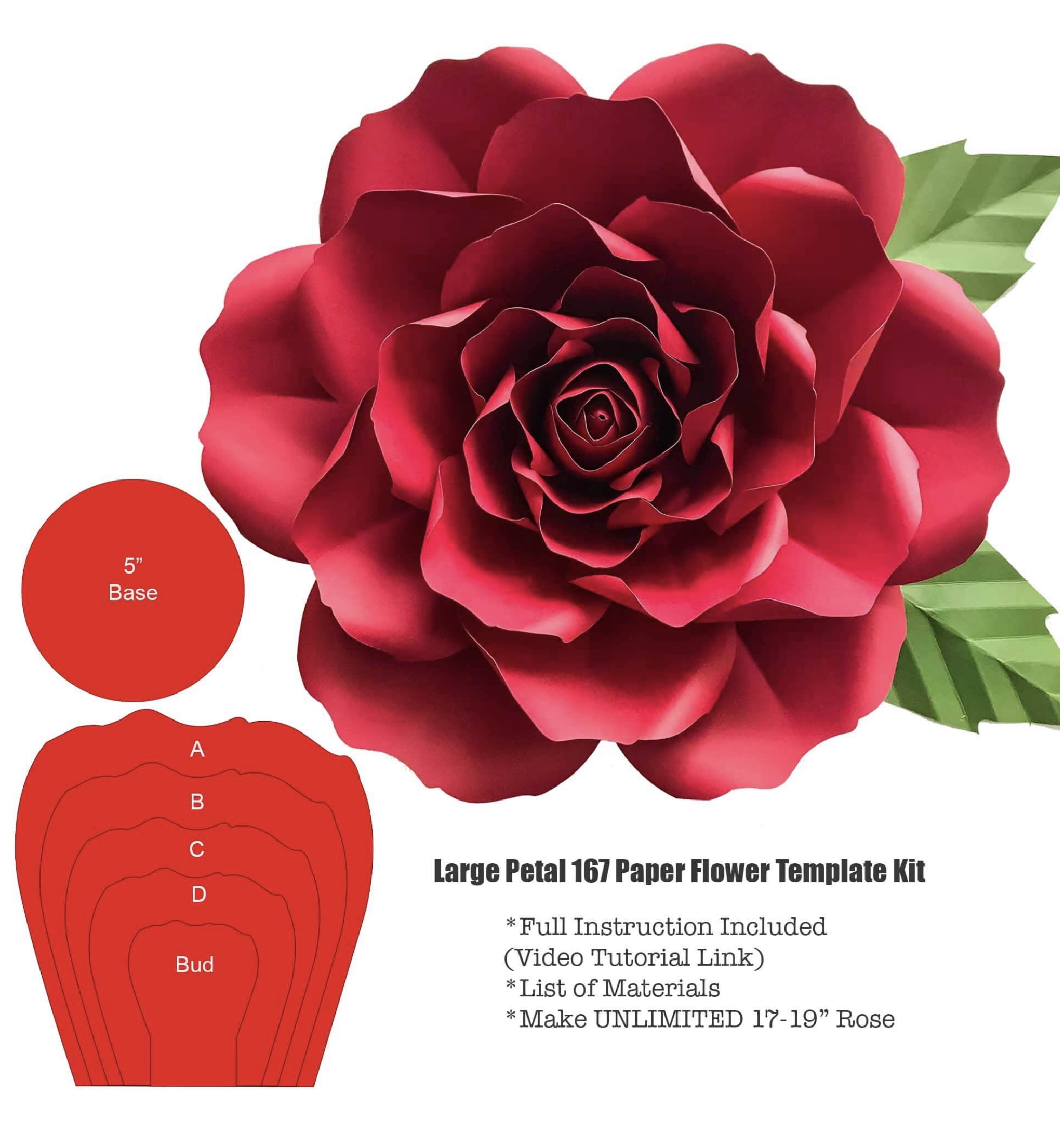 DIY Petal 167 Paper Flower Template Hard Copy Stencil