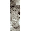 thumbnail image 2 of Blaustein, Alan 11x24 Gold Ornate Wood Framed with Double Matting Museum Art Print Titled - Grapes Pano - 12, 2 of 4