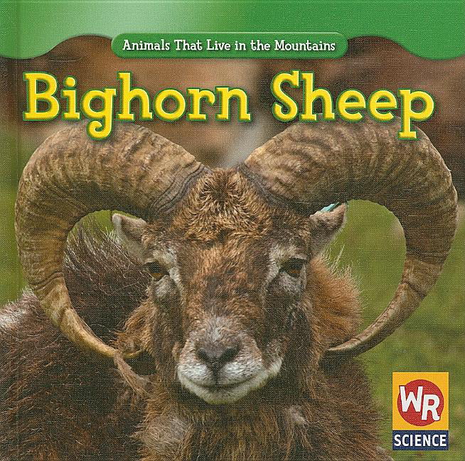 Animals That Live in the Mountains (Second Edition): Bighorn Sheep  (Hardcover) 