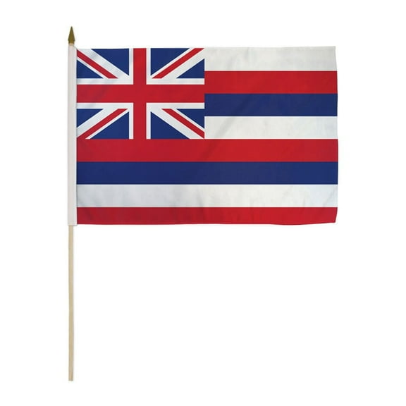 Hawaii 12x18" Stick Flags
