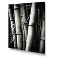 thumbnail image 2 of Designart "Black And White Photo Of Bamboo III" Bamboo Canvas Prints, 2 of 7
