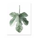 thumbnail image 1 of Póster Artístico impreso con hojas de plantas tropicales de zona de arte, cuadros de pared de plantas verdes nórdicas, pintura grande para habitación de niños sin marco Adepaton 1237-10, 1 of 1