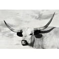 thumbnail image 2 of Ditto, Larry 18x13 Black Ornate Wood Framed with Double Matting Museum Art Print Titled - Buttercup, 2 of 4