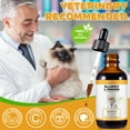 thumbnail image 6 of Oimmal Allergy Immune Drops for Cats - Anti Itch & Hot Spots - Relief Cats Seasonal Allergy with Elderberry + Vitamin C Support Liver & Digestion Health - 4 Fl oz, 6 of 10