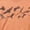 Orange, variant on State of Mine Halloween Crew Fleece
