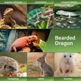 thumbnail image 2 of GHSDFBB Adjustable Small Animal Sling Carrier for Bearded Dragons Lizards and Small Reptile, 2 of 7