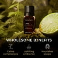 thumbnail image 3 of Gya Labs Lime Essential Oil for Skin Care - Lime Oil to Uplift Mood and Improve Focus - Therapeutic Grade for Aromatherapy - 0.34 fl ozz, 3 of 8