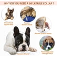 thumbnail image 3 of Collar inflable de recuperación para perros, cono de collar isabelino ajustable para recuperación de mascotas de cirugía o lesiones (l). Afortunado Sencillez, 3 of 5