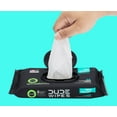 DUDE Products Flushable Wipes, Mint Chill, 288 Count, 6 Pack