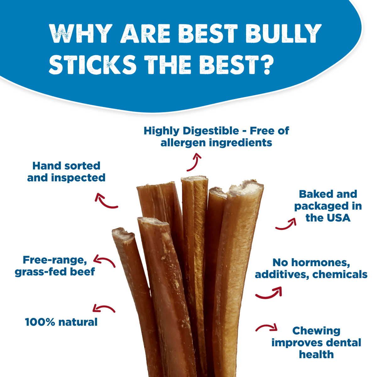 Best Bully Sticks Odorless 4-8 Inch Bully Sticks for Dogs - 8 oz (Pack of 1) - 100% Natural Grass-Fed Beef, No Rawhide, Grain and Odor Free Chew Treat - Small, Medium, Large Breeds, Puppies