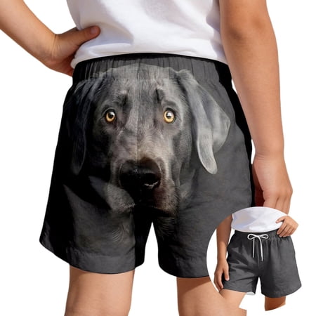Rhuody Summer Pants For Boys Cartoon Prints Shorts For Toddler Playwear Elastic Waist Kids Bottoms Classic Clothing Dark Gray 13-14 Years