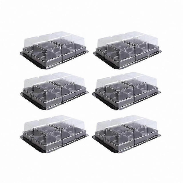 100 Pack Clear Plastic Dessert Trays with 6 Compartments for Mochi, Cupcakes, Cookies, and More Food Storage Solutions