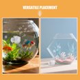 thumbnail image 3 of EXHUMKY 8Ud Acuario Alimentador Pared Transparente Para Plantas Y Peces Ahorra Espacio, 3 of 7