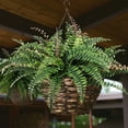 Poetree Artificial Ferns for Outdoors, Set of 2 Large Fake Ferns Faux