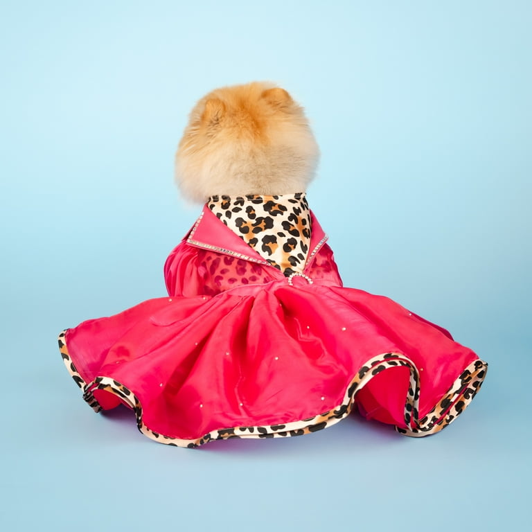 Doggy Parton, Dog and Cat Clothes, Leopard Notched Collar Doggy Parton, Dog and Cat Clothes, Leopard Notched Collar