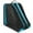 b, variant on Inline Skate Bag for Kids and Adults Large Capacity Roller Skating Carry Case with Shoulder Strap 10x14 Inch