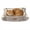 Coffee Brown, variant on The Cat Ladies Self-Warming Heated Cat Bed Mat, Reversible Comfortable Design - Light Green
