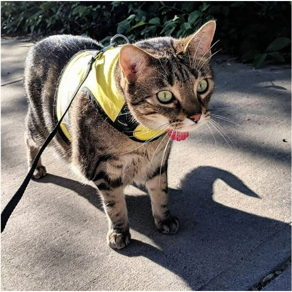 Kitty Holster Reflective Safety Harness (Made in USA) Color: Sunshine Yellow, Size: M/L