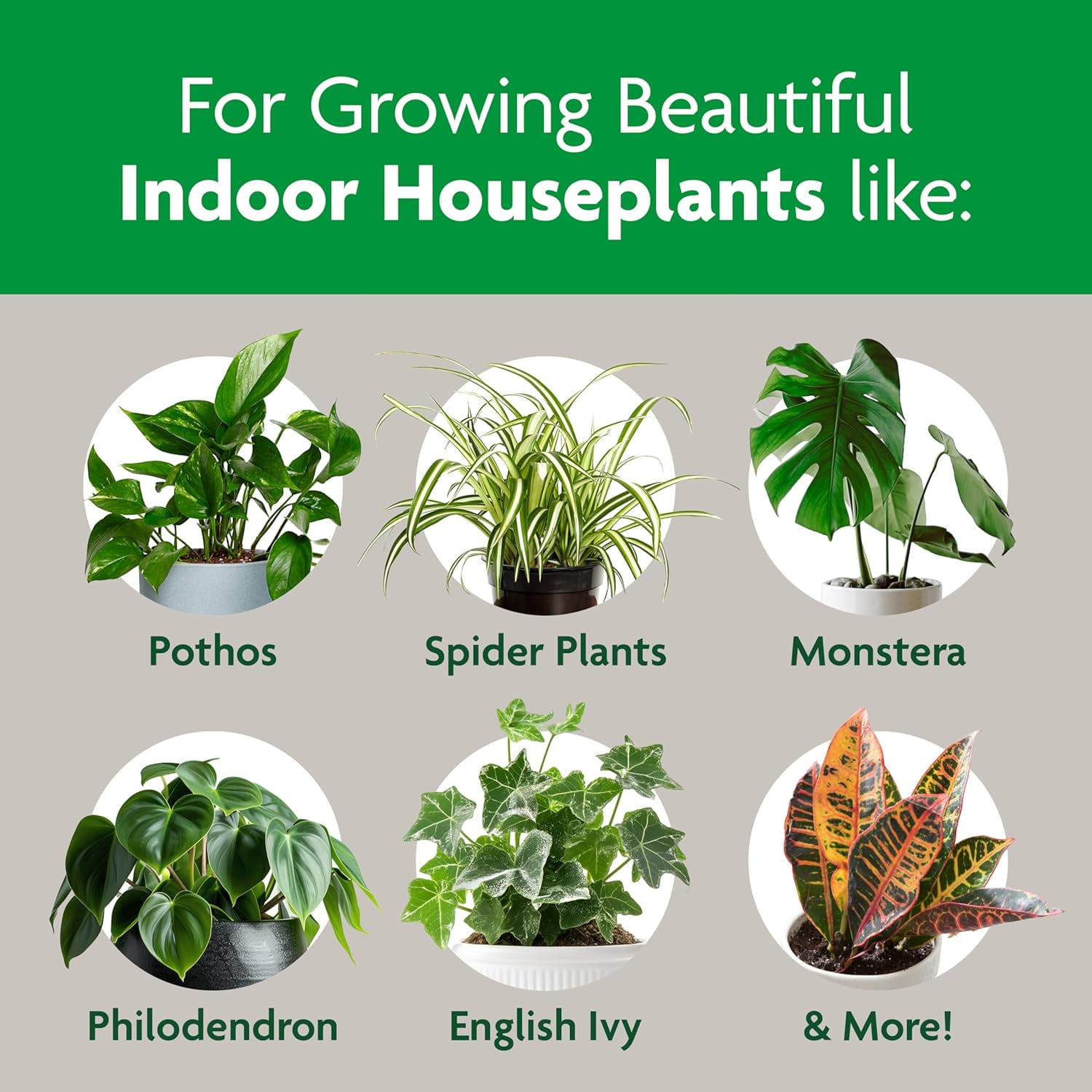 Miracle-Gro Indoor Potting Mix, Blended for a Variety of Houseplants, Feeds for up to 6 Months, 6 qt., 2-Pack
