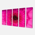 thumbnail image 2 of Macro Photo of Gerbera Flower - Flowers Canvas Wall Artwork, 2 of 3