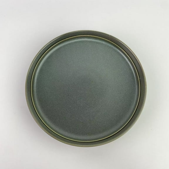 AIYUUP Plates,Stoneware Dinnerware,Handcarft Ceramic Plates and Bowls Sets,Chip and Scratch Resistant Dishes, Dishwasher & Microwave Safe, Oven safe,Reactive Glaze-Green,2 pcs