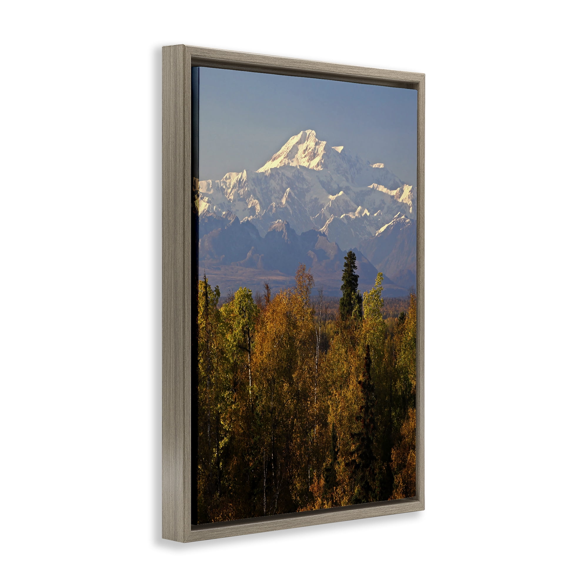 Stupell Industries Danali Autumn Landscape Landscape & Nature Photography Brown Floater Framed Canvas Art Print Wall Art, 21 x 31