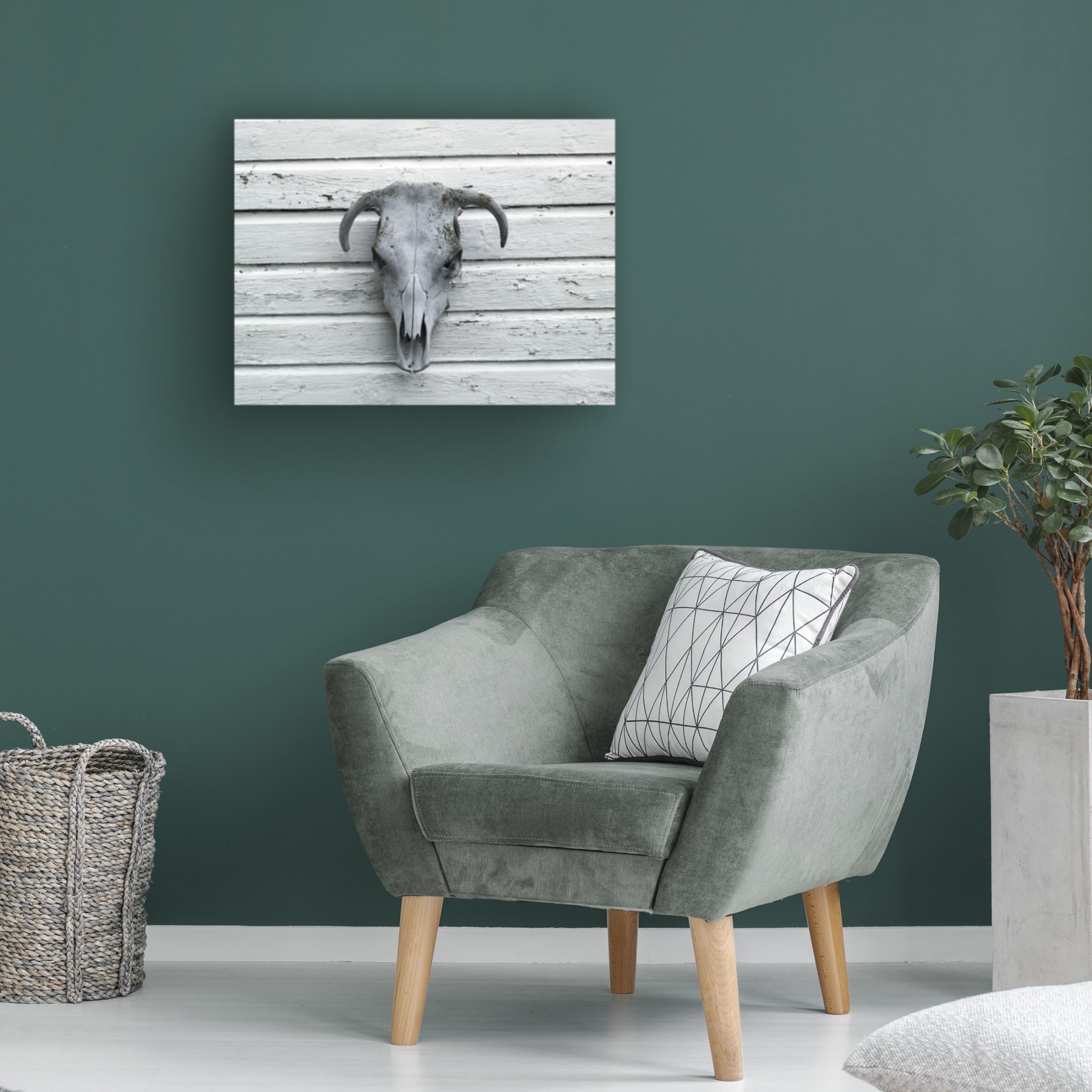 Canvas Wall Art - Clive Branson 'Skeleton of Calf's head' Wall Art for Living Room, Bedroom, or Office Décor by Trademark Fine Art - 47 x 35 Inches
