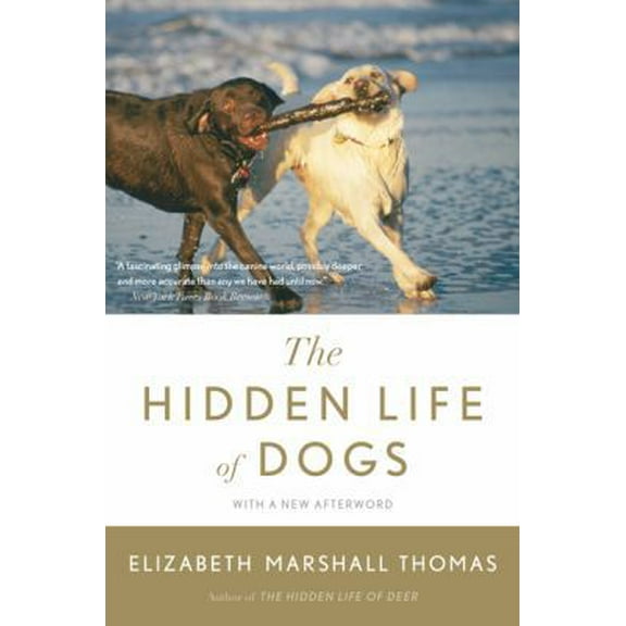 Pre-Owned The Hidden Life of Dogs (Paperback) 0547416857 9780547416854