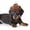 birthday gifts _1, variant on 5.1"X2" Adjustable Pet Cowboy Hat & Scarf Set, Soft Cotton Funny Headwear For Dogs & Cats, Ideal For Daily Wear, Birthday, Party, As Cute Gift For Pet