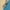 Blue, variant on Time and Tru Women's Raffia Shell Slide Sandals