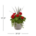 thumbnail image 3 of Better Homes & Gardens 2.5gal Multicolor Geranium Vinca Dracaena Live Annual Plant Decorative Pot Sun, 3 of 6