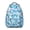 Sky-blue-21, variant on Waterproof School Backpack with Bengal Tiger Jungle Print - Ergonomic Student Backpack with Spinal Support, Breathable Straps & Durable Design for Teens & College