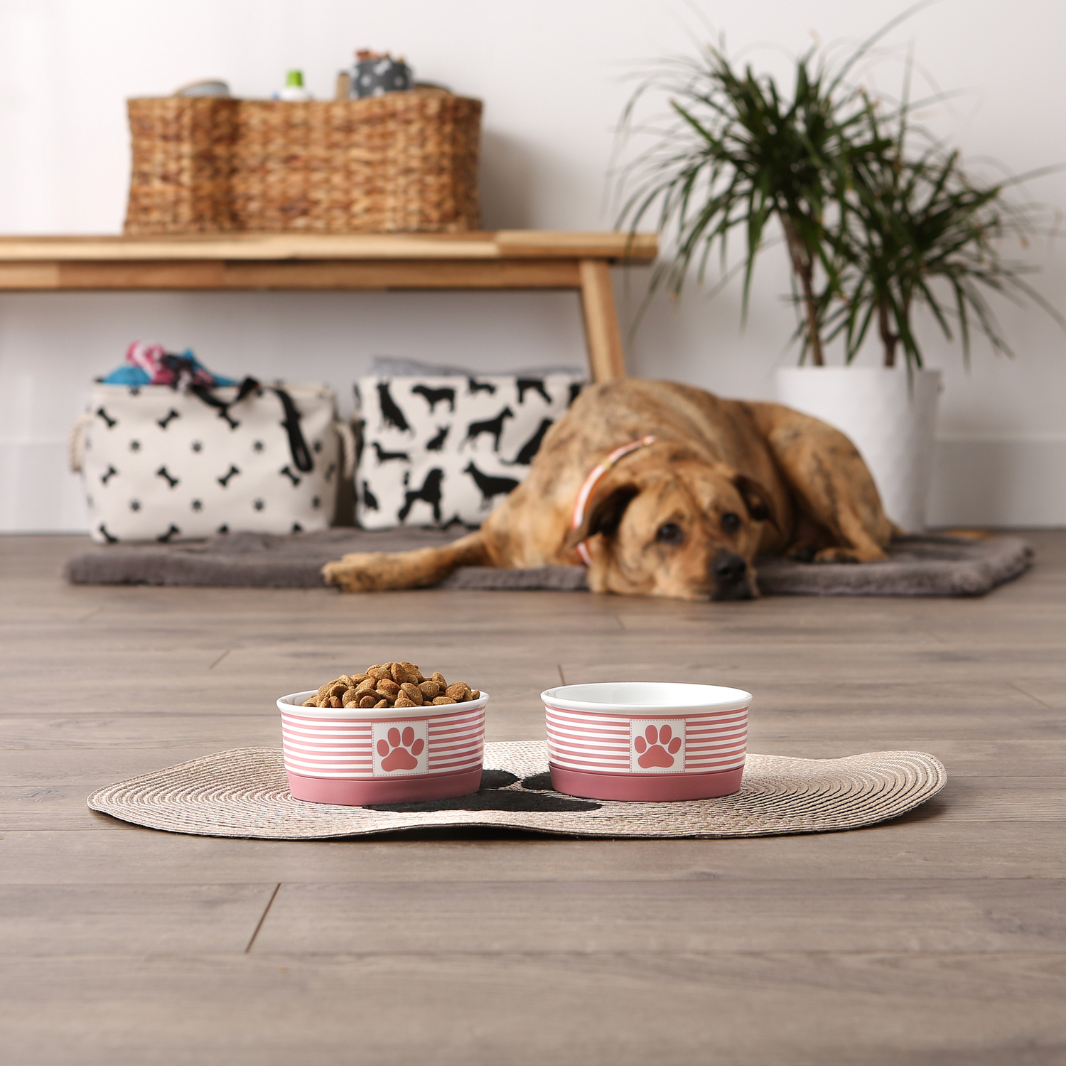 Bone Dry Chevron Ceramic Pet Bowls, Dishwasher Safe, Rose, Small Bowl Set, 4.25x2", 2 Count