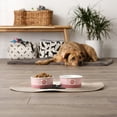 thumbnail image 3 of Bone Dry Chevron Ceramic Pet Bowls, Dishwasher Safe, Rose, Small Bowl Set, 4.25x2", 2 Count, 3 of 5