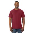 thumbnail image 1 of Fruit Of The Loom T-Shirt à Manches Courtes pour Hommes HD Cotton, 2TG, Cardinal, 1 of 3