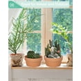 thumbnail image 7 of 8 Inch Terracotta Shallow Succulent Pot - 2 Pack Large Terra Cotta Clay Pots with Drainage, Cacuts Terra-Cotta Indoor and Outdoor Planters with Drainage Hole, 7 of 7