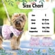 thumbnail image 2 of Paquete de 2 arnés para perro con correa, traje de flores para mascotas, ropa de primavera y verano, lindo juego de correa para arnés para cachorro, disfraz de princesa de encaje para caminar al aire, 2 of 8