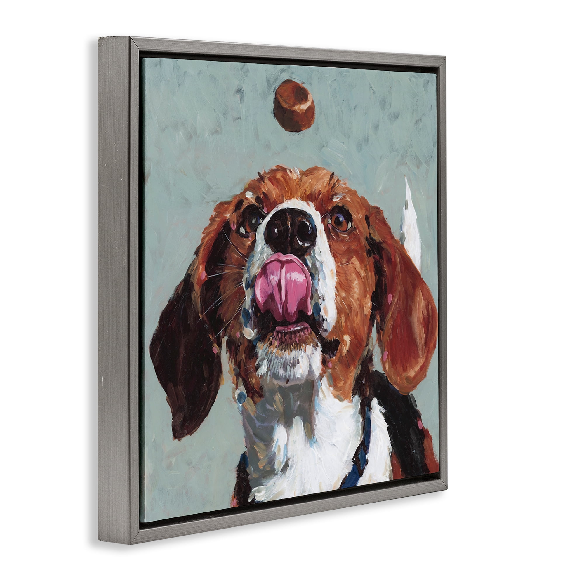 Stupell Industries Beagle Treat Excitement Gray Framed Floater Canvas Wall Art, design by Studio Bautista