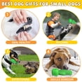 thumbnail image 2 of Cepillo de dentición para perros Pamlulu Cactus Rubber Squeaky, 2 of 5