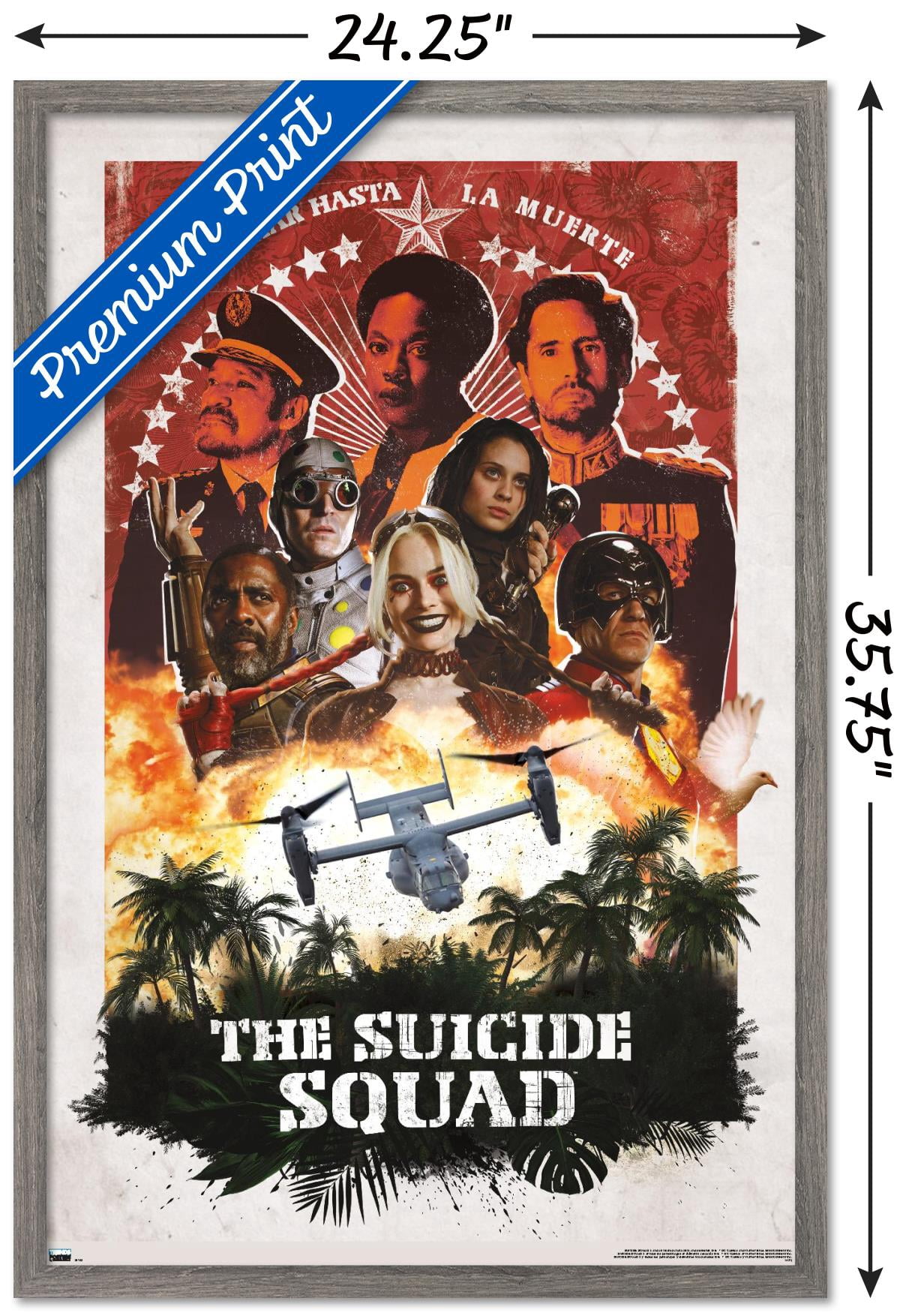 DC Comics Movie The Suicide Squad - Plane Group Wall Poster, 22.375" x 34", Framed