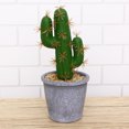 thumbnail image 2 of Simulation Tropical Plants Creative Artificial Cactus Fake Potted Bonsai Decor for Home Office (Pot Included) (Extra-lar, 2 of 8