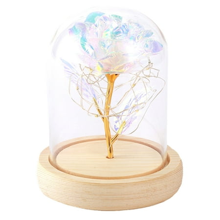 

BESTONZON Valentine s Day Gift Foil Rose Flower LED Lights in Glass Dome without Battery