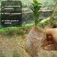 thumbnail image 3 of Bolsas de plantas, bolsas de vivero de plantas no tejidas, bolsas de siembra, plantas de macetas de plántulas de tela, suministros de invernadero para el jardín del hogar, 3 of 4