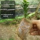 thumbnail image 5 of Bolsas biodegradables para viveros de semillas Apuakthei de 400 piezas, bolsas no tejidas para el cultivo de plantas, macetas de tela para plantas, suministros para el jardín del hogar, 9 x 12, 5 of 7