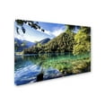 thumbnail image 2 of Trademark Fine Art "Tiger Lake" Canvas Art by Philippe Hugonnard, 2 of 3