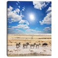 thumbnail image 2 of Wandering Zebras under Bright Sky - Oversized Landscape Canvas Art, 2 of 3