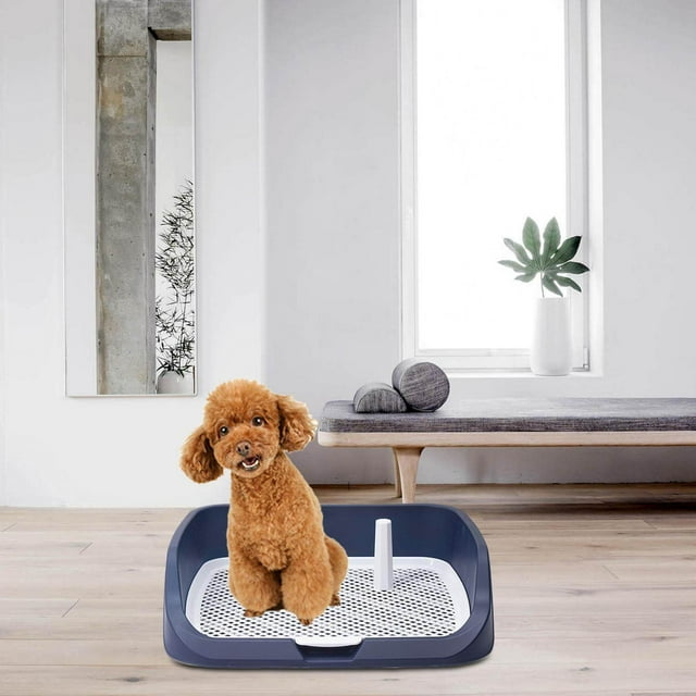 pitrice Plateau de Toilette Lavable pour Animaux Plateau de Propreté pour Chiot Réutilisable