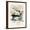 Brown Frame, variant on Art.com Winter Shoal I Art Print by Victoria Barnes, 12" x 16"