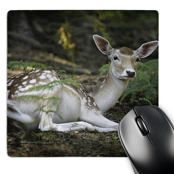 3dRose, Fawn, MousePad