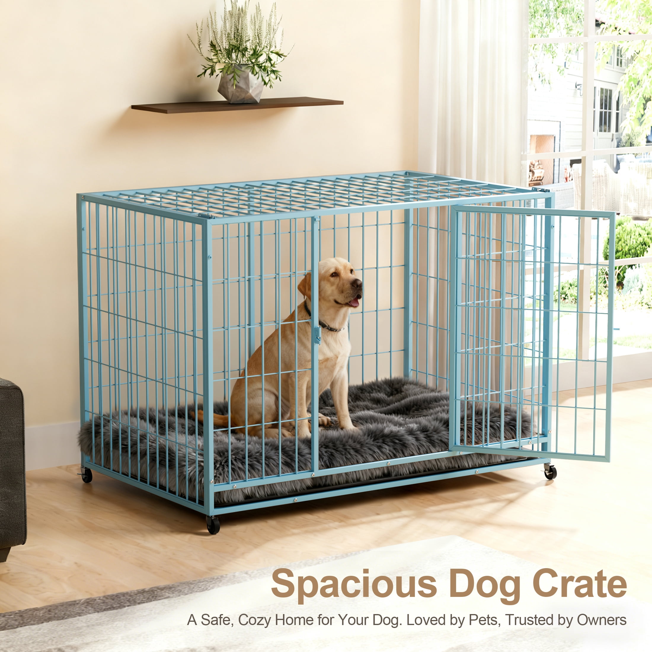 TIME RAY 48 inch Metal Wire Dog Crate for Large Dogs with Tray, Double Door, Puppy Dog Cage for Yard Indoor Outdoor Use,XL Dog Cage Kennel,Blue